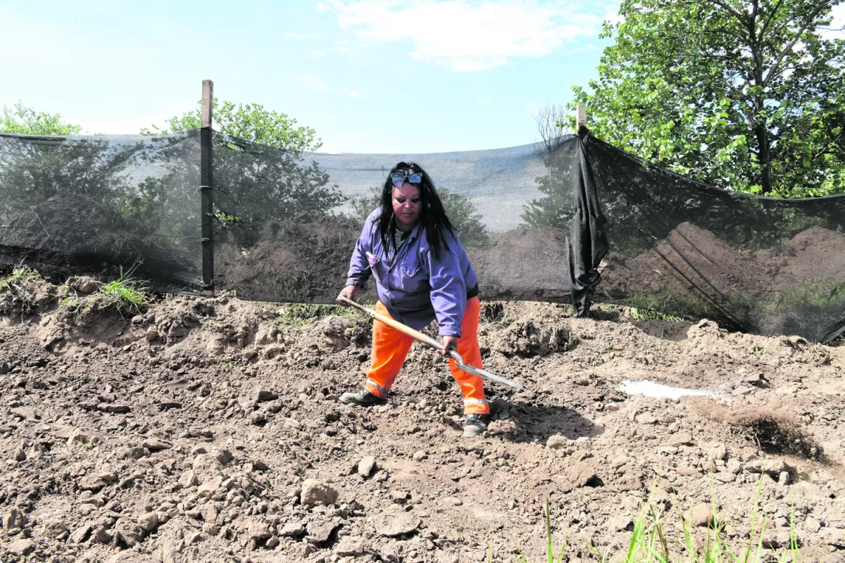 Día de la Mujer: Isabel, una albañil en la obra pública