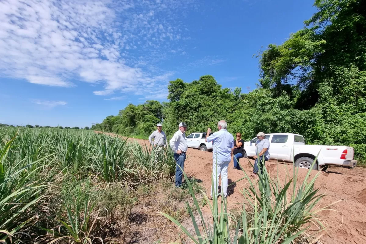 Cañeros de Jujuy y Salta declararon al sector en “Estado en Alerta”