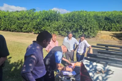 Citrus tucumano: la Unión Europea realizó una auditoría