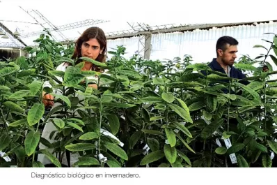 La mujer, insustituible en muchas tareas rurales