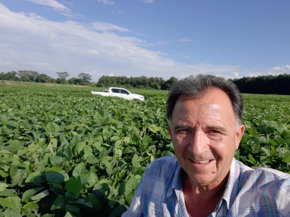 CIFRAS ESTIMADAS. El asesor Oscar Ricci consideró prematuro hablar de pérdidas en rindes, pero adelantó que en soja y en maíz ya se admite un 40%. gentileza oscar ricci 