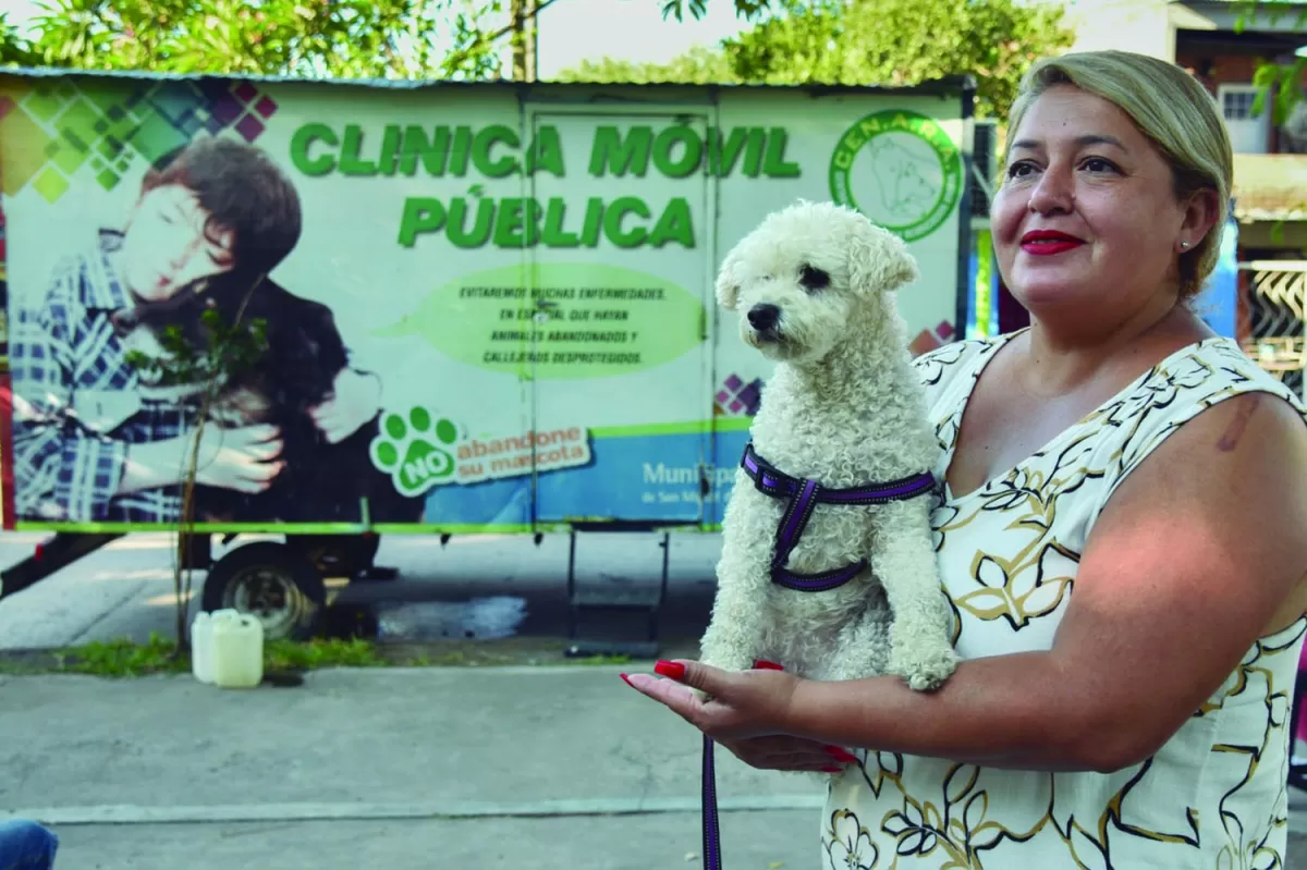 Servicio municipal: castración gratuita de mascotas