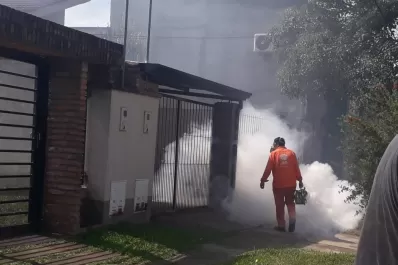 Tucumán superó los 1.500 casos positivos de dengue, informó el Ministerio de Salud