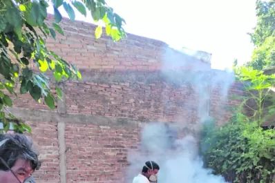 Dengue: los contagios suben ahora más rápido que en la última epidemia