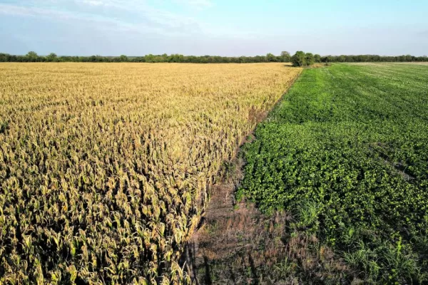 Entidades del agro piden la emergencia agropecuaria