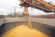 No maten a la “gallina de los huevos de oro”