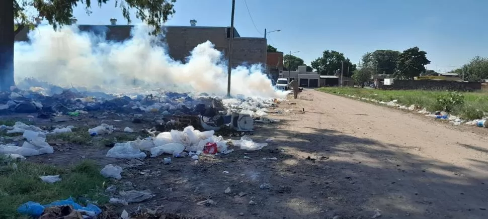 Mitos sobre el dengue, la patología que tiene en vilo a los tucumanos