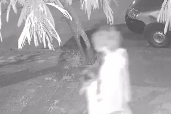 Conmoción por un joven que se dedica a matar gatos: Le hicieron bullying en el colegio