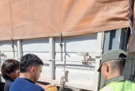 Decomisan más de dos tonelada de porotos, maíz y soja sin documentación