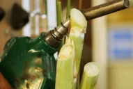 Promoverán una mayor producción y consumo de los biocombustibles líquidos