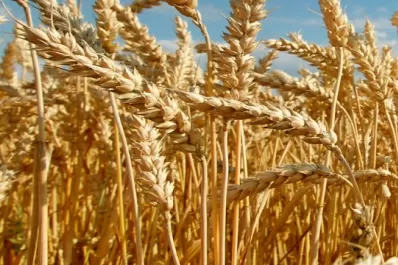 CRA, y un mensaje al próximo Gobierno