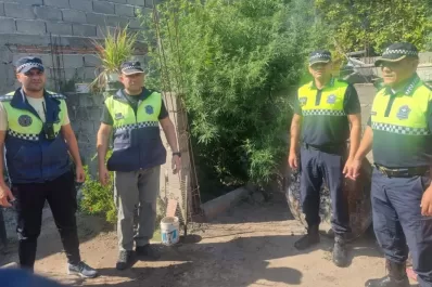 Visto y oído: secuestran droga en el sur