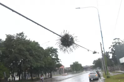 El robo de cables, un delito que no se detiene