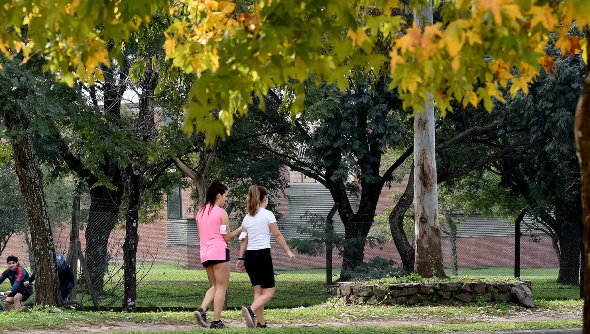 AGRADABLE. Para hoy se espera una mañana soleada y cielo algo cubierto durante la tarde.