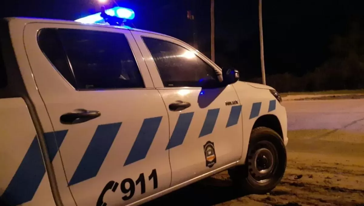 Consumían drogas y cuando aparecieron dos policías se les ocurrió apadrearlos