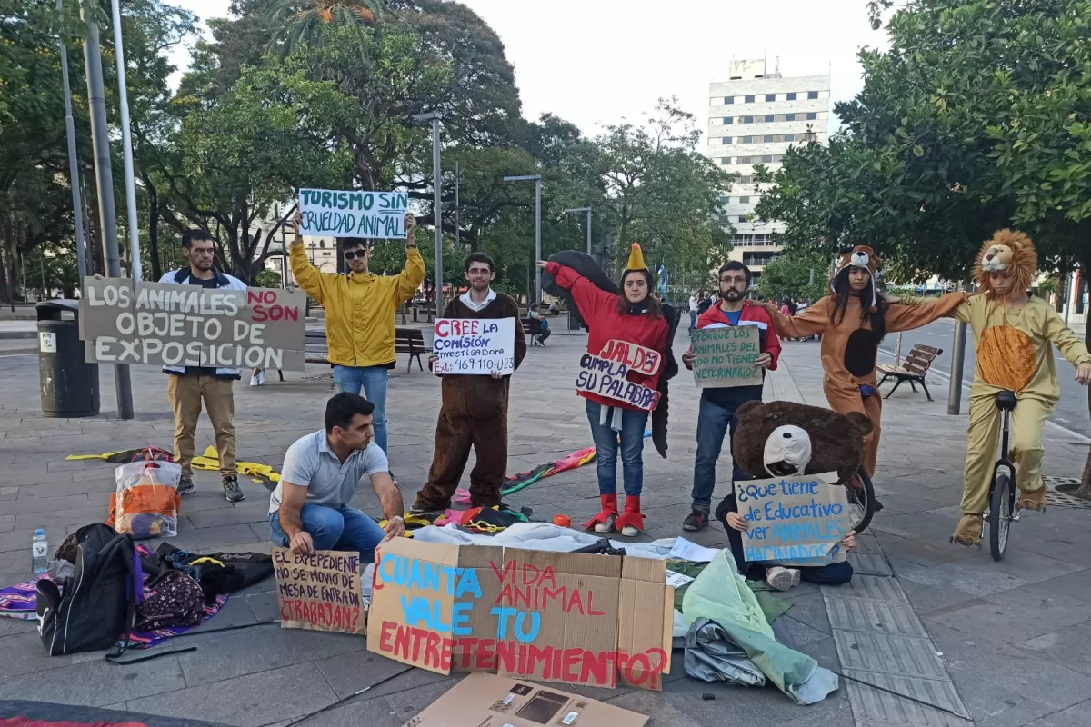 Reserva Fitozoológica de San Pedro de Colalao: “en 40 días no tocaron el expediente”