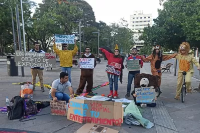 Reserva Fitozoológica de San Pedro de Colalao: “en 40 días no tocaron el expediente”