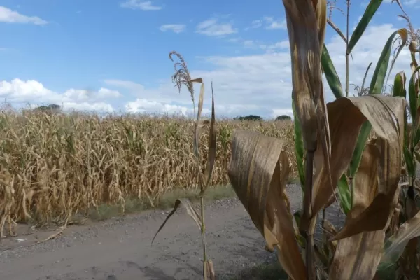 El agro reclama que haya eximición de impuestos