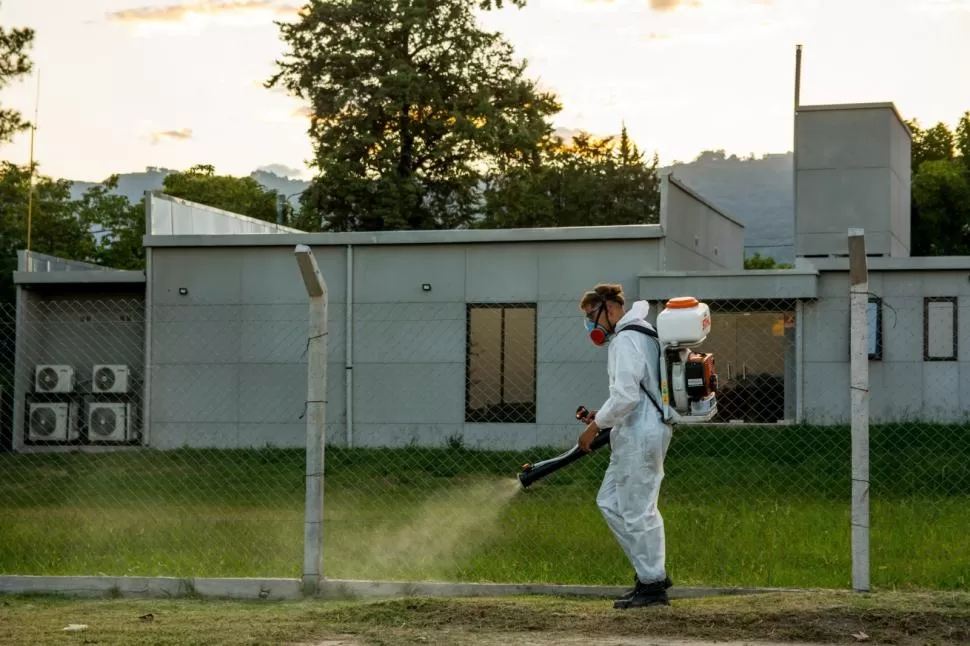 EPIDEMIA. Los casos de dengue se multiplican a diario en todos los barrios de la capital y del Gran San Miguel de Tucumán. 