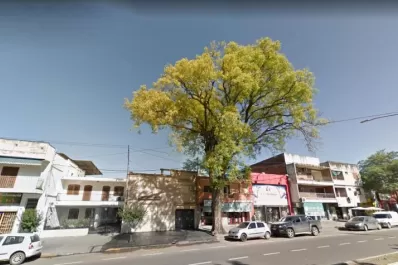 Cartas de lectores: Peligroso árbol