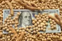 Aseguran que la liquidación de dólar agro se frenó por una promesa devaluatoria de Aracre a las cerealeras