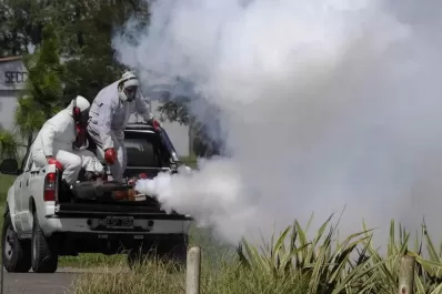 El cambio climático acelera la transmisión del dengue