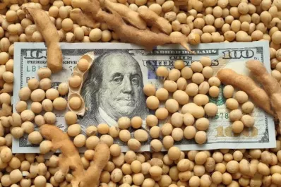 ¿A cuánto cotiza?: el ministro Sergio Massa presenta hoy la tercera versión del dólar soja