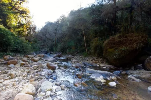 Científicos determinan la calidad del agua en Tucumán usando insectos pequeños