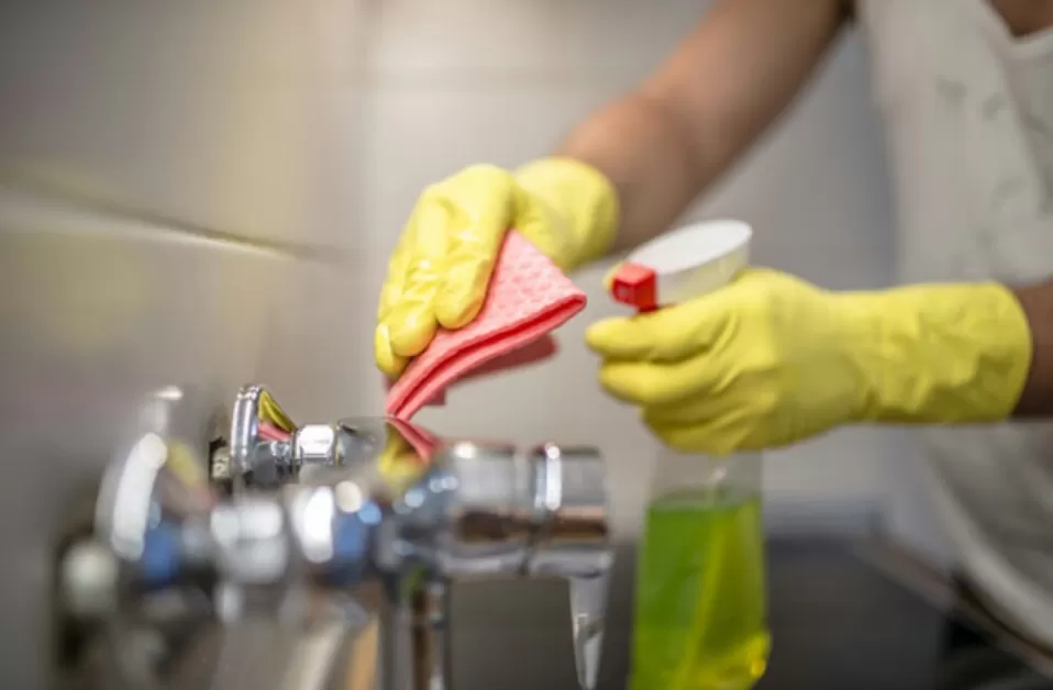 Día del personal de casas particulares: cuánto deberán cobrar si trabajan hoy