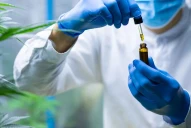 La San Pablo-T lanza una diplomatura junto al laboratorio Elea sobre Cannabis Medicinal