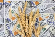 No beneficia al productor: el titular de la Federación Agraria cuestionó el dólar soja