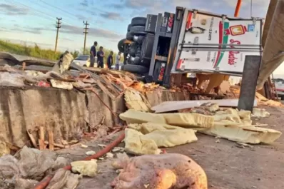 Santa Fe: volcó un camión con 8.000 kilos de pollos y fue saqueado salvajemente por los vecinos
