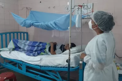 Dengue: cuáles son las tres fases de la infección y cuándo acudir a un médico