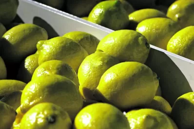 Cómo impactará el dólar agro en el citrus y en el azúcar