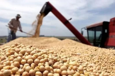 El Gobierno pone en marcha el dólar soja 3: ¿De qué se trata?