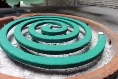 Dengue: cuáles son los mejores repelentes ambientales, sus peligros y cómo utilizarlos