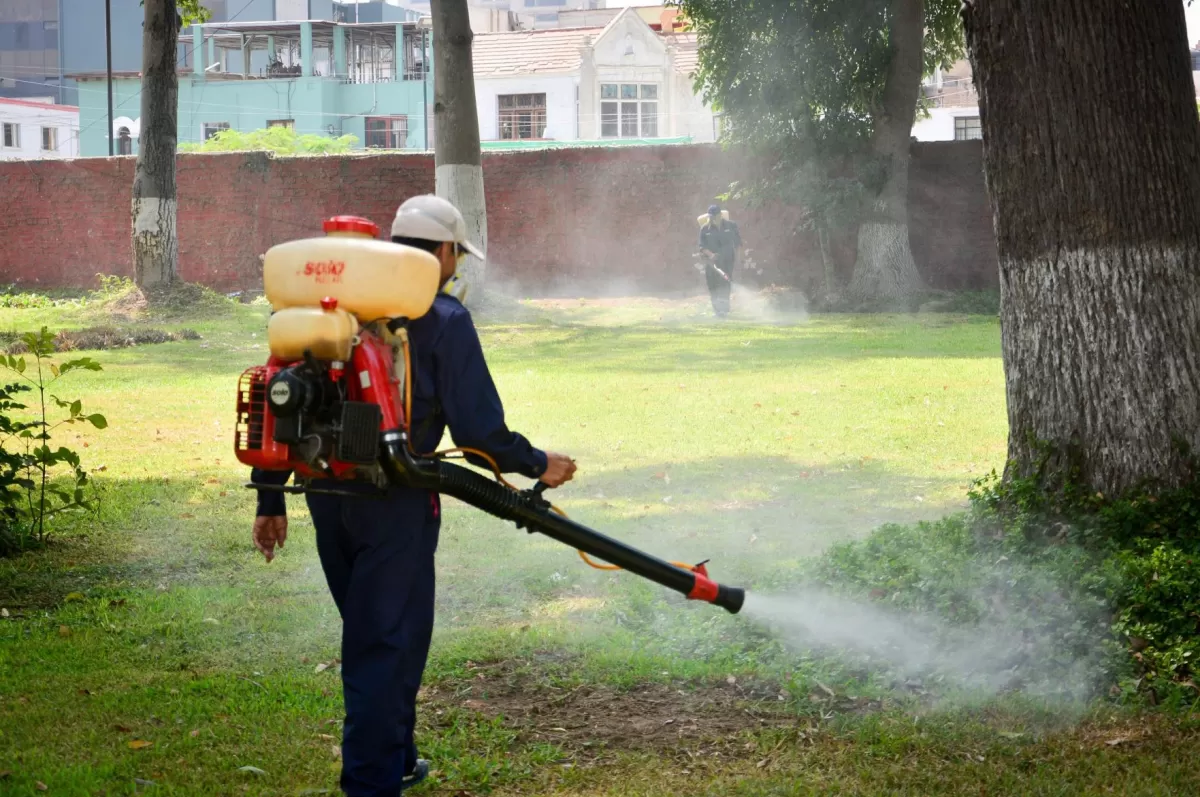 Dengue en Tucumán.