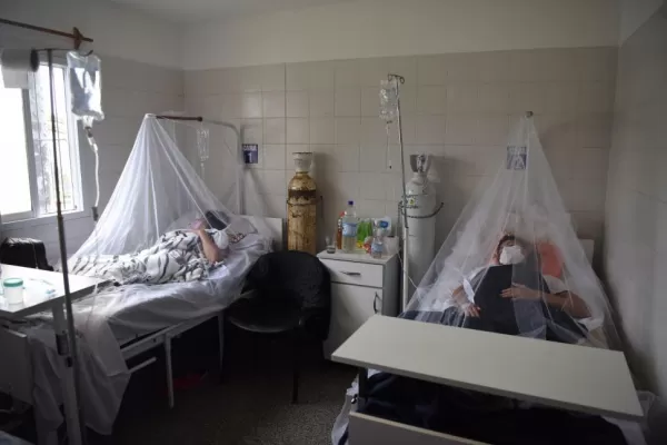 Por qué es tan grave el brote de dengue actual en Tucumán