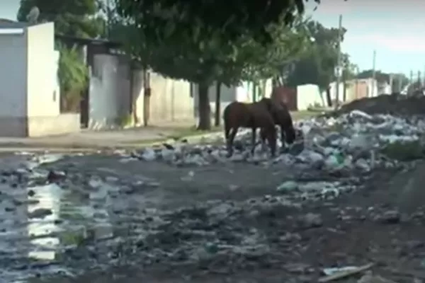 Reclamo en el barrio Juan XXIII por aguas servidas y un basural en medio de la calle