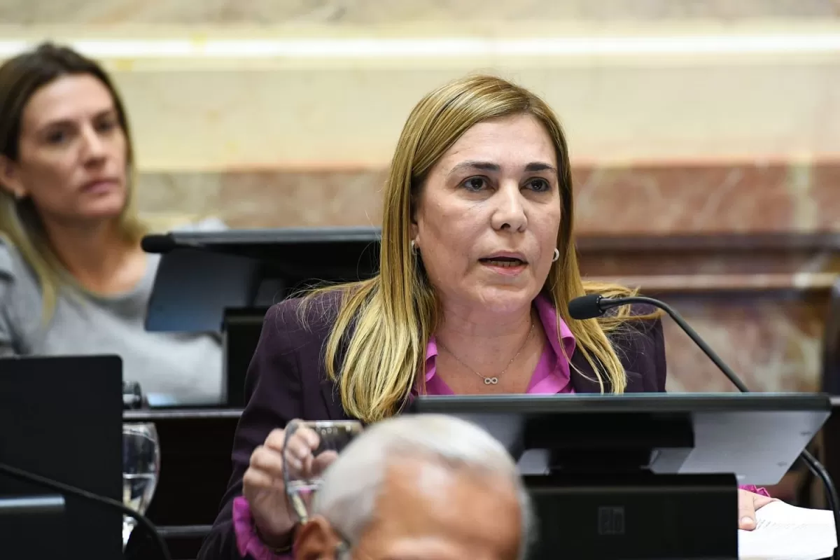 Beatriz Ávila, senadora nacional y candidata a intendenta de San Miguel de Tucumán. 