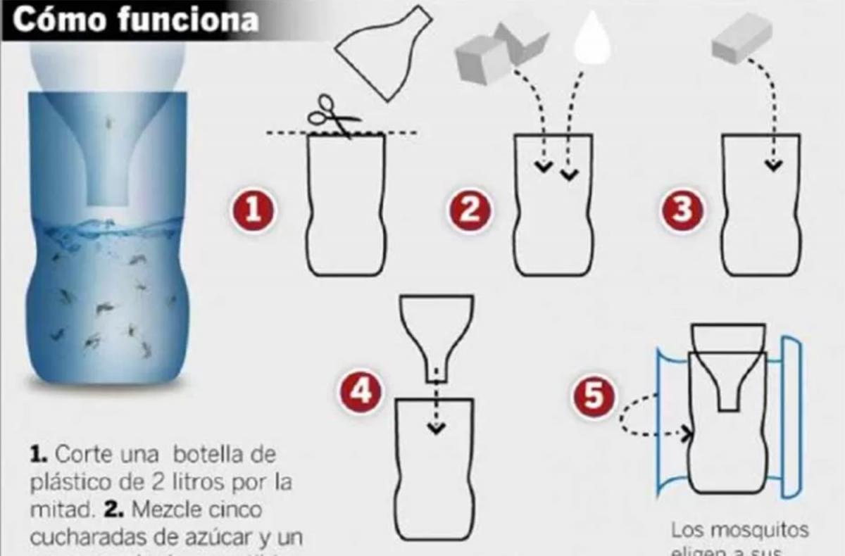 Video: un método casero para combatir los mosquitos que transmiten dengue