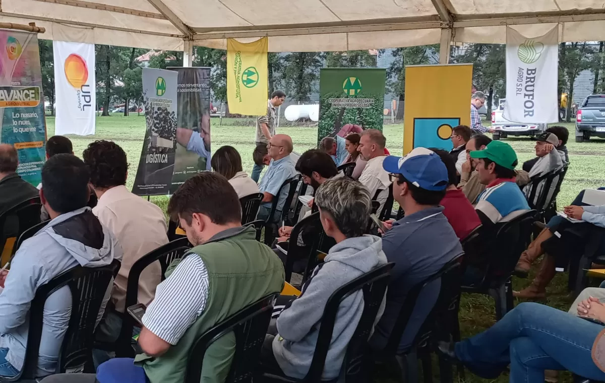 Se precisaría de 1,2 a 2,3 toneladas de soja por hectárea para cubrir gastos