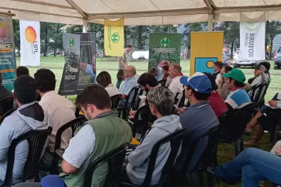 Se precisaría de 1,2 a 2,3 toneladas de soja por hectárea para cubrir gastos