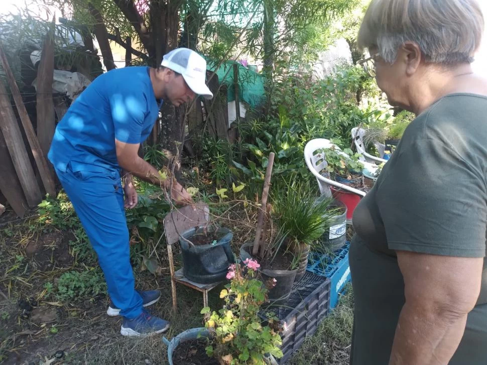 CASA POR CASA. Los agentes sanitarios ingresan a las viviendas y revisan si hay lugares donde se pueda estar criando el mosquito Aedes aegypti. 