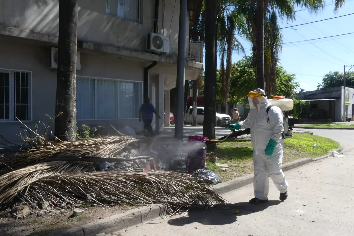 Por qué las próximas epidemias de dengue podrían ser más graves