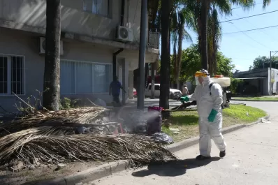 Por qué las próximas epidemias de dengue podrían ser más graves