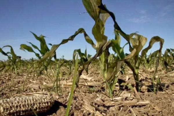 Seis provincias, en emergencia agropecuaria