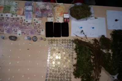 Narcomenudeo: un ex convicto utilizaba como pantalla la venta ilegal de animales silvestres para comercializar droga