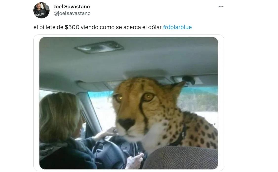 Dólar L-Gante: se dispararon los memes cuando la divisa extranjera pasó la barrera de los $ 420