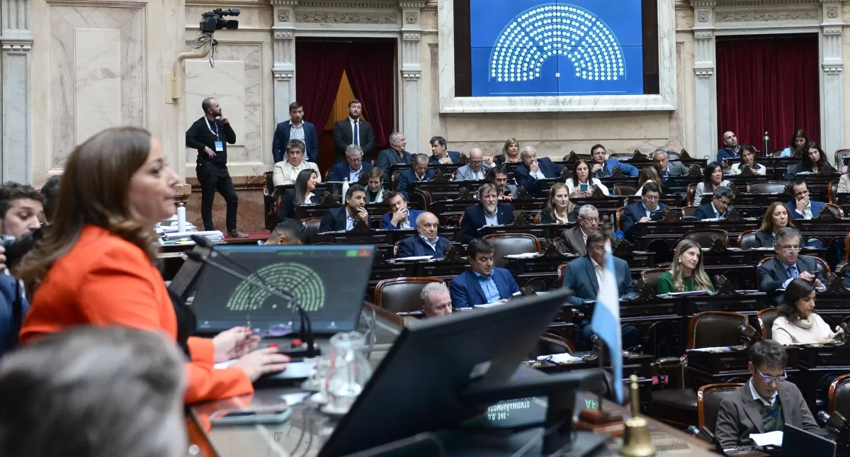 Diputados: el Frente de Todos y Juntos por el Cambio frenaron la declaración de emergencia sanitaria por el dengue